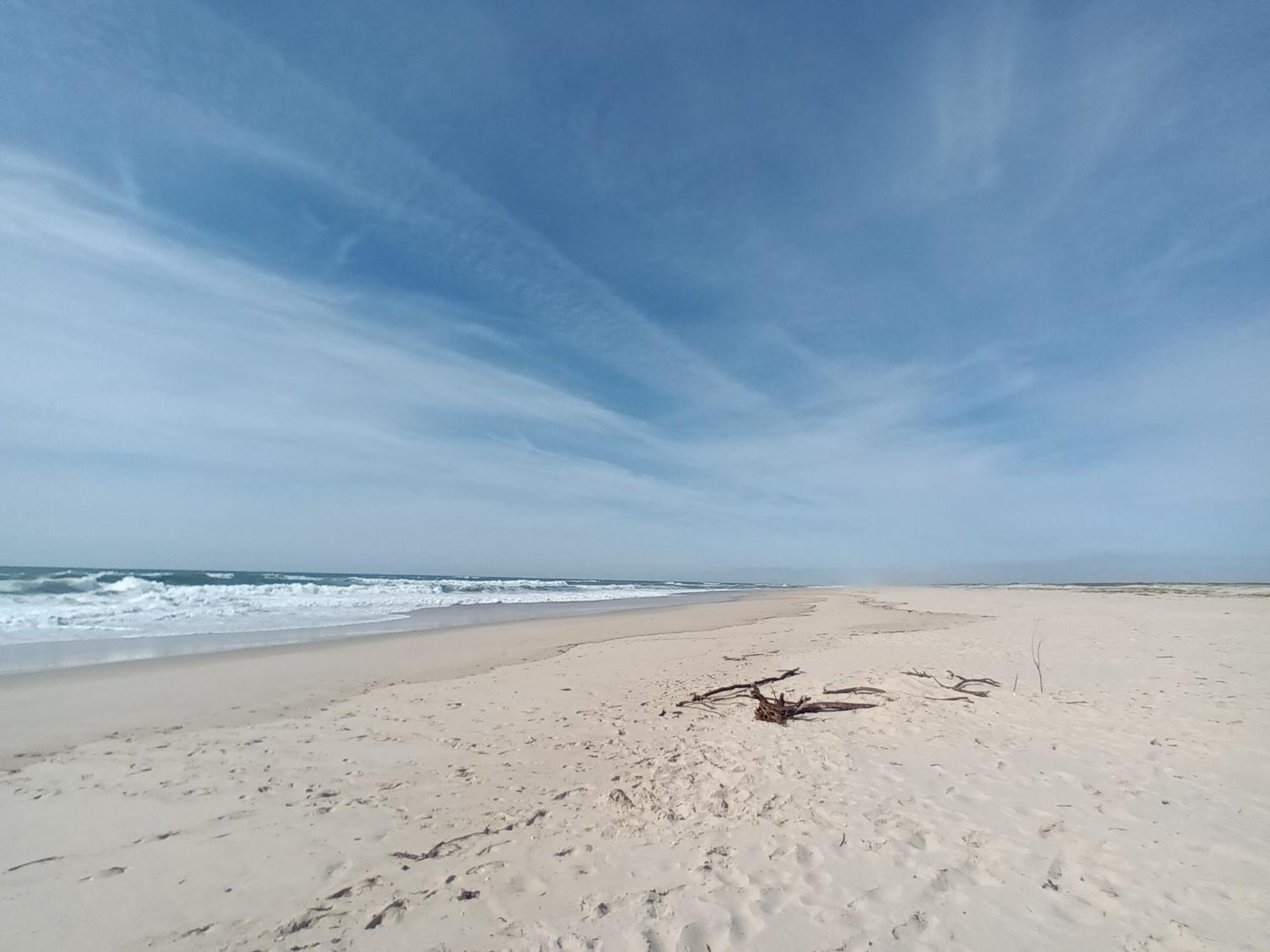 Apartment Close To The Ria De Aveiro, Sao Jacinto Luaran gambar
